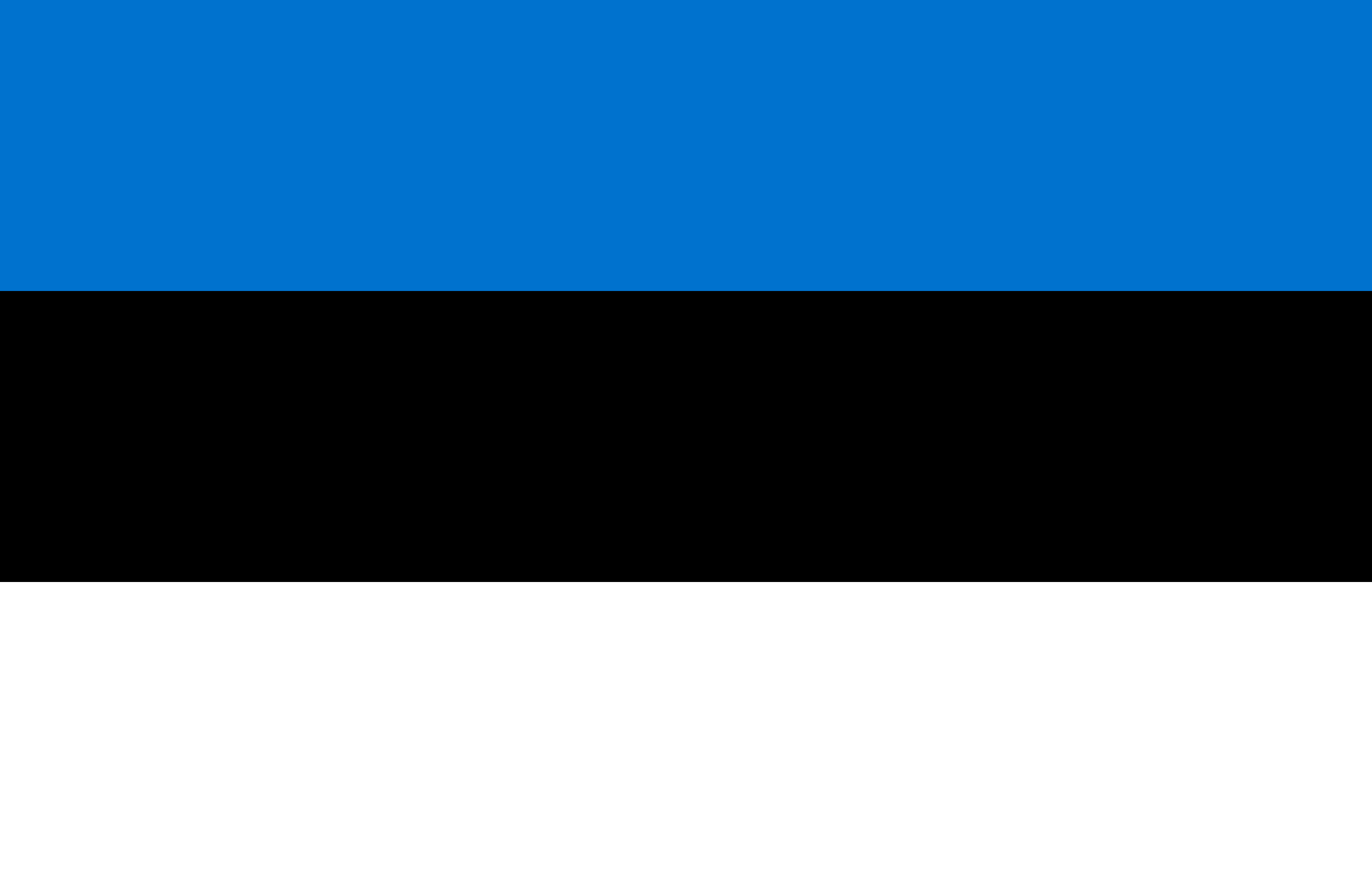flag Estonia MayerCie
