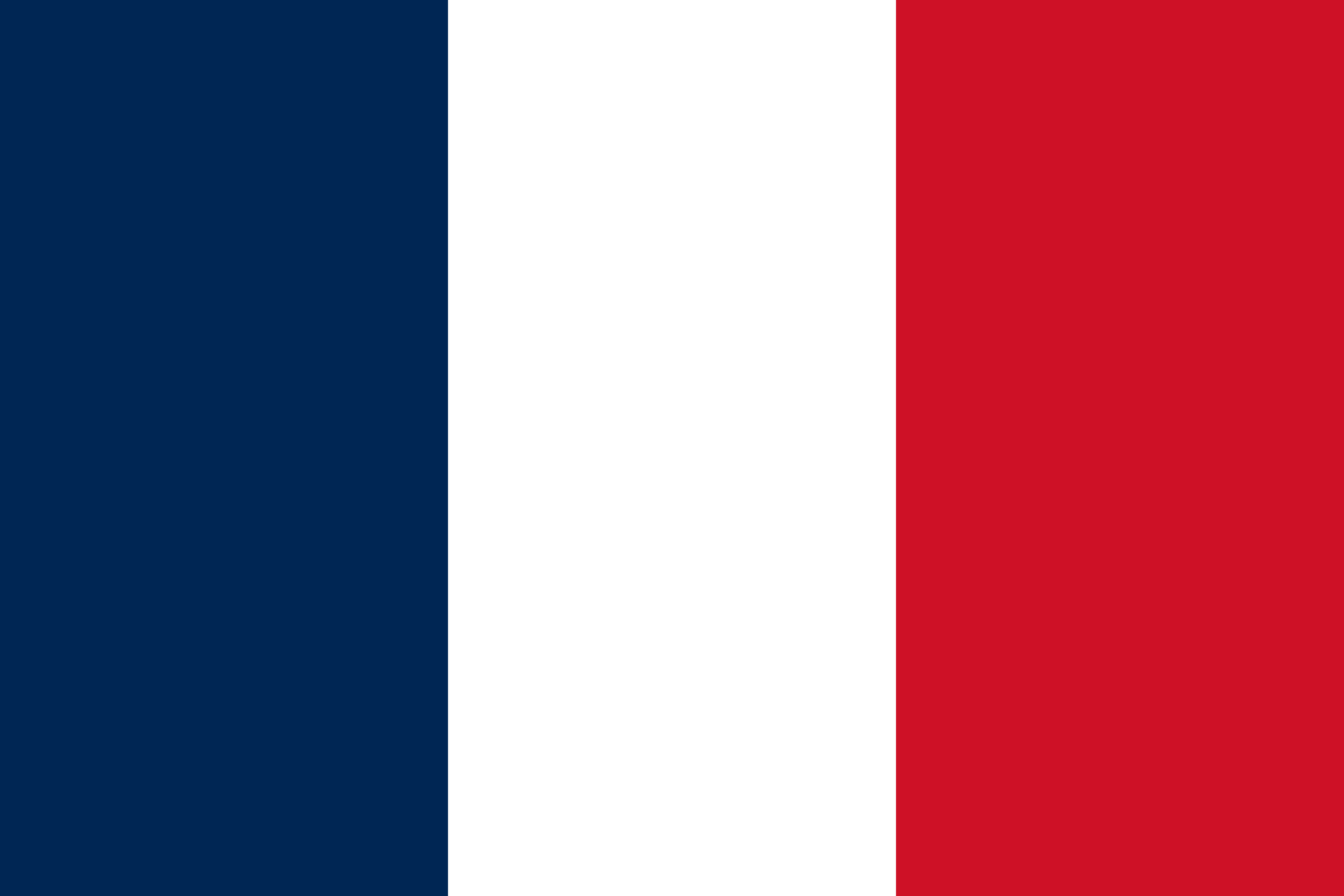 flag France MayerCie