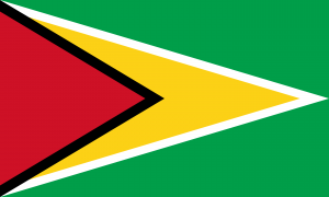 flag Guyana MayerCie