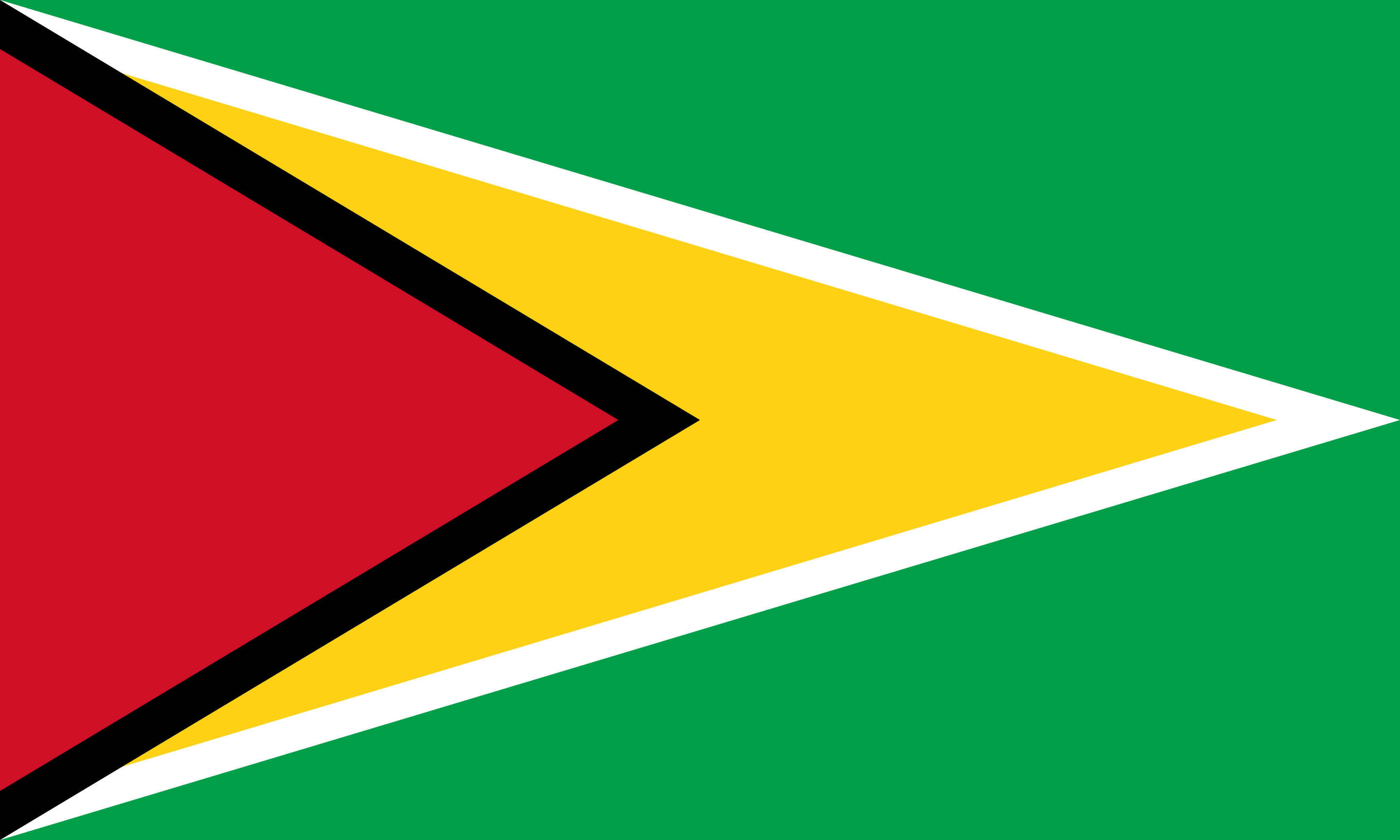 flag Guyana MayerCie